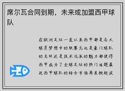 席尔瓦合同到期，未来或加盟西甲球队